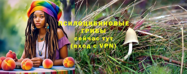 мдпв Беломорск